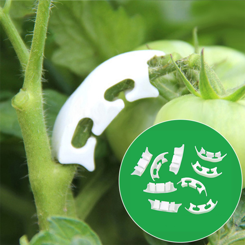 Gardening Tools Bundle - 50/100Pcs Plantkunde-Stem Wijnstok Strapping Clips Tuin