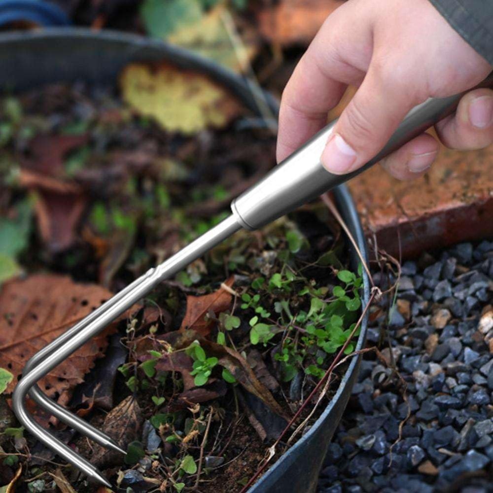 Roestvrijstalen onkruidtrekker - Gardening Tools Hoe recensie en prijs