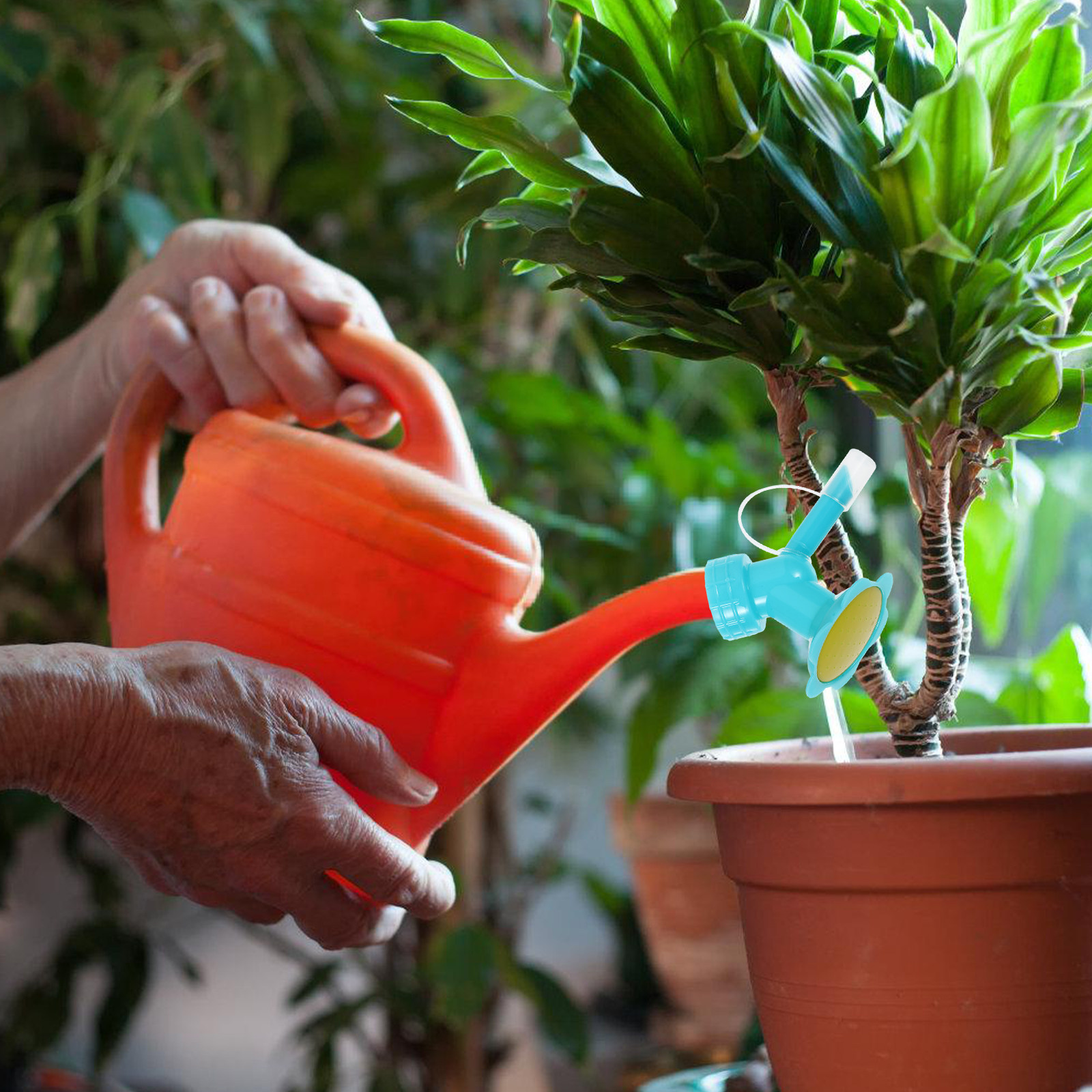 5 stuks sproeikop voor het bes - Gardening Tools Plastic recensie en prijs