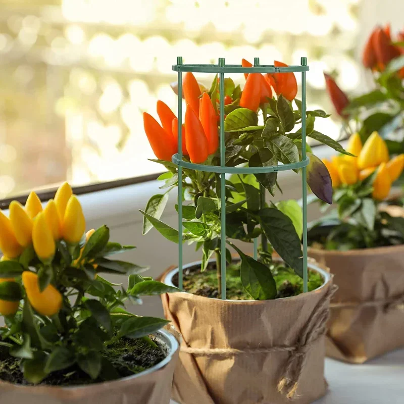 Plastic Plant Ondersteuning St - Gardening Tools Hoe recensie en prijs