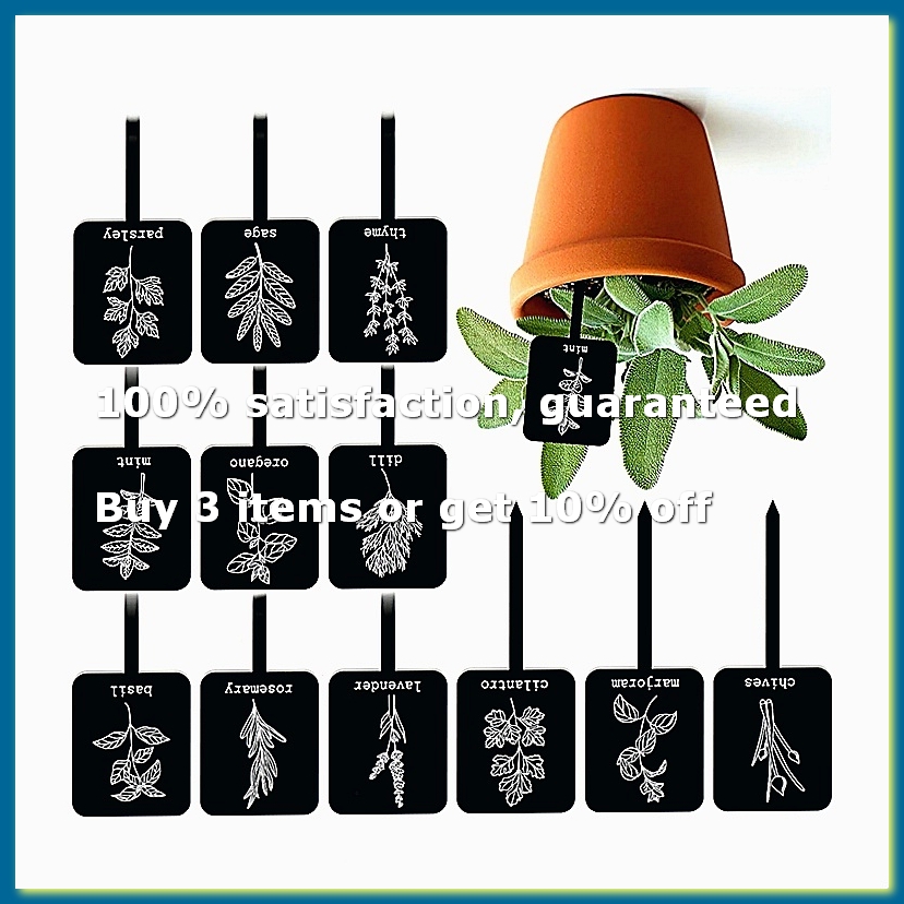 24 stuks acryl plantenlabelbor - Gardening Tools With Names recensie en prijs