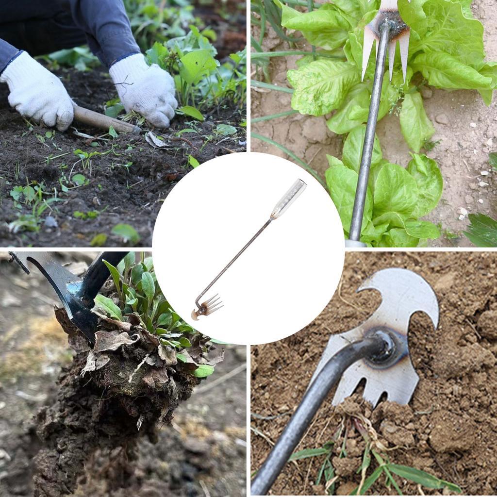 Tuinonkruidgereedschap Tuinier - Gardening Tools Hoe recensie en prijs