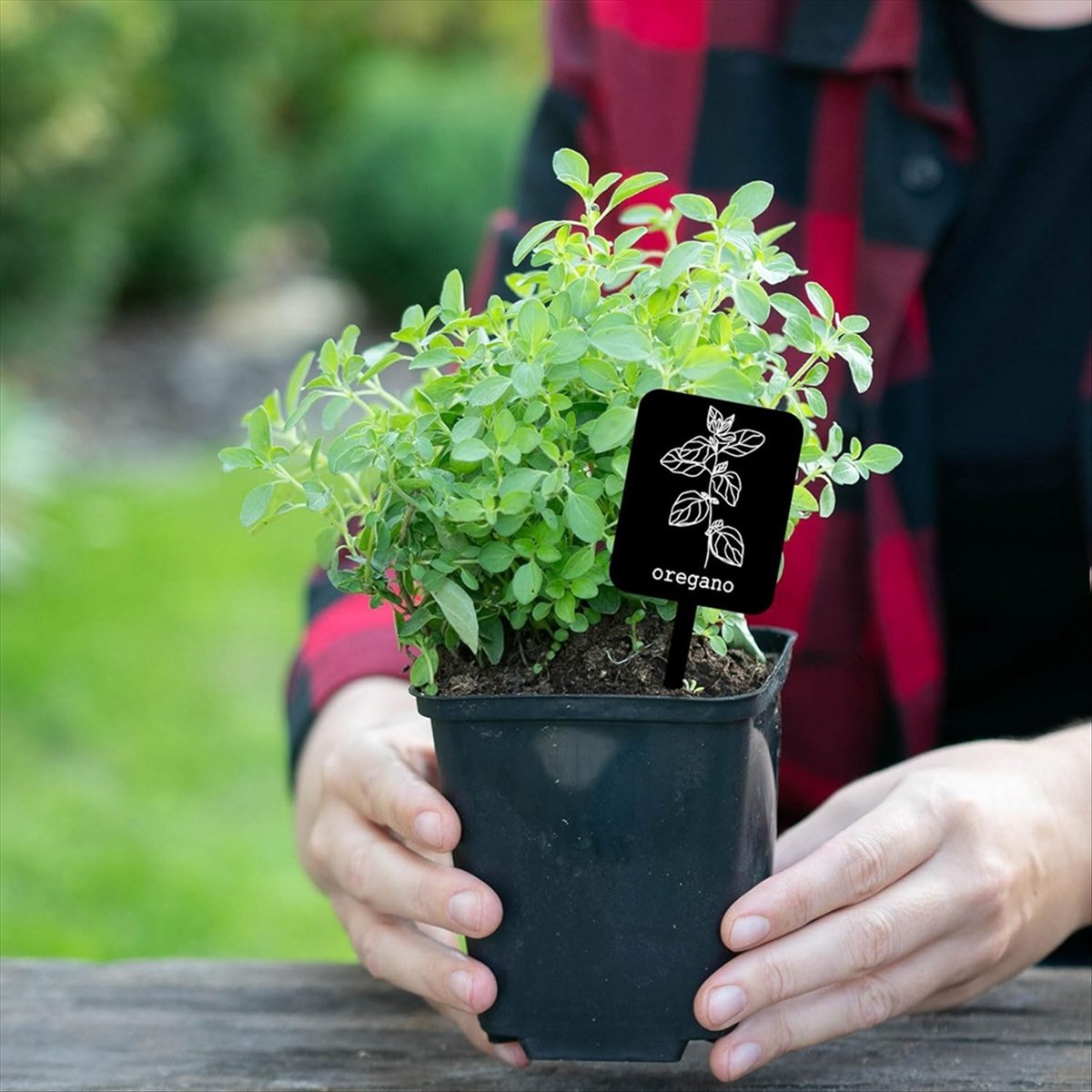 AA14 24 stuks acryl plantenlab - Gardening Tools With Names recensie en prijs